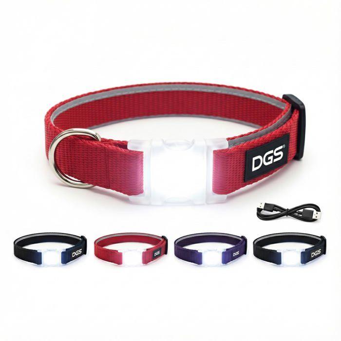 LED Light-Up Dog Collar - Dog Gone Smart - Rechargeable - Red - Size L - 45.7 To 63.5 Cm - Durable Nylon