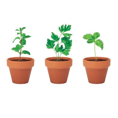 MidOcean Flowerpot Terracotta Herb Seeds Plant Pot (Pack of 3)