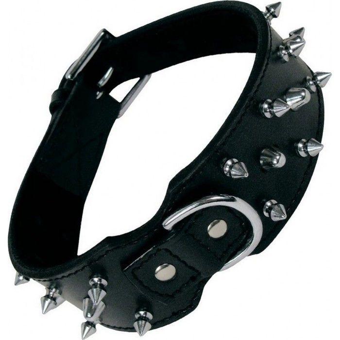 Dog Collar - NC - Gloria - Black - 70 Cm - Studs