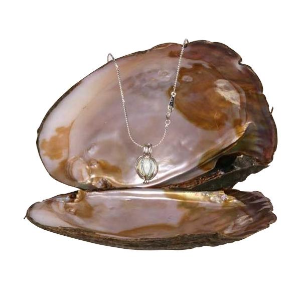 Fancy Necklace with Real Pearl In Oyster Cage Pendant In C Cheap Costume Jewelry Pendant