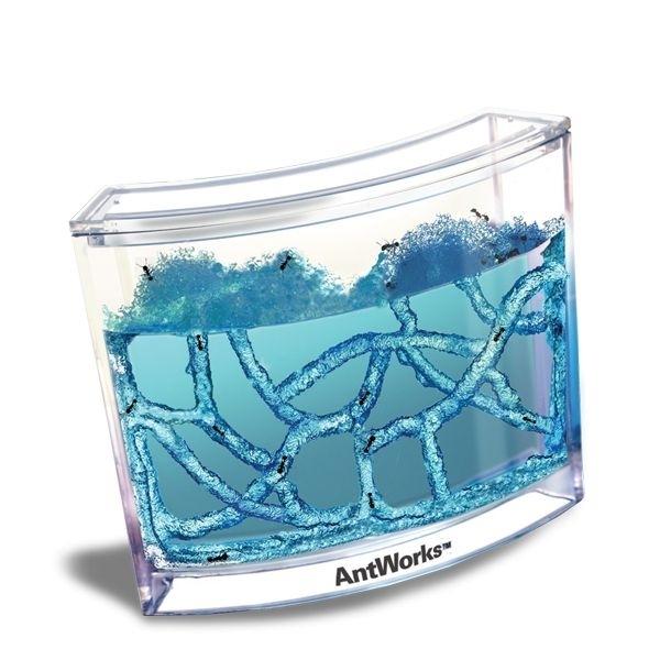 Antworks Vivarium for Ants with LED Evolutionary Medium with Lighting