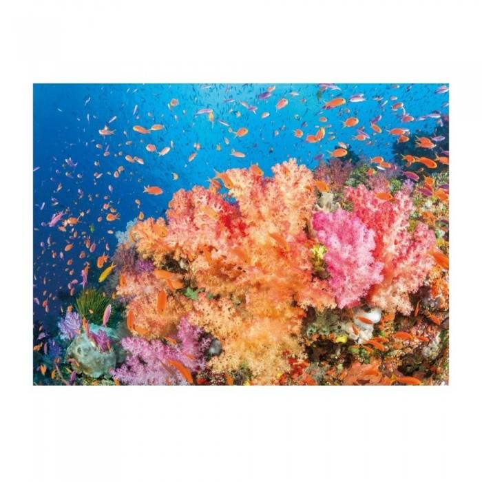 David Fleetham Coral Reef - Fiji Print