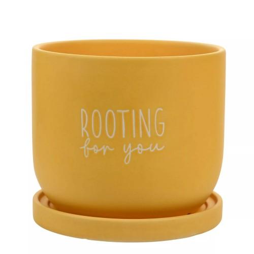 Country Living Rooting For You Ceramic Plant Pot