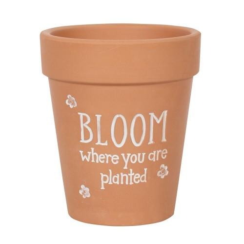 Something Different Bloom Where You Are Planted Terracotta Plant Pot