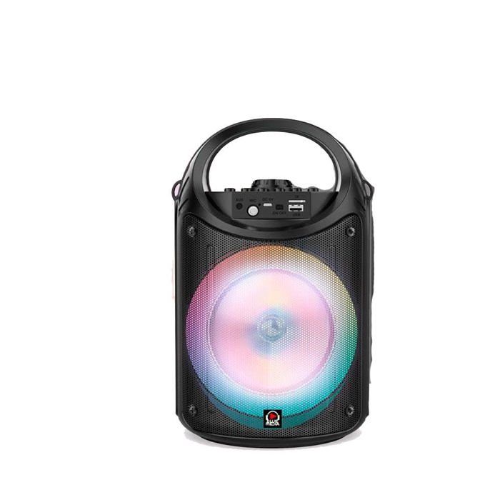 Bluetooth Speaker - CLAUDIO REIG - FM Radio - Mic - USB - LED - Multicolor