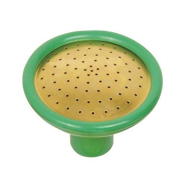 Fine As Rain Coarse Spray Rose