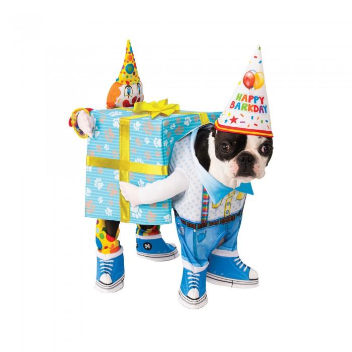 Bristol Novelty Present Birthday Dog Costume