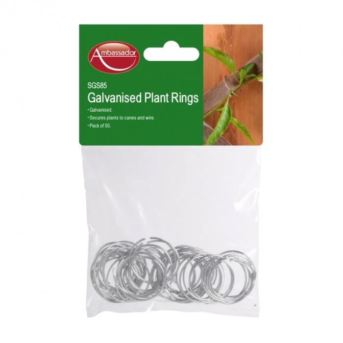 Ambassador Galvanized Plant Rings (Pack of 50)