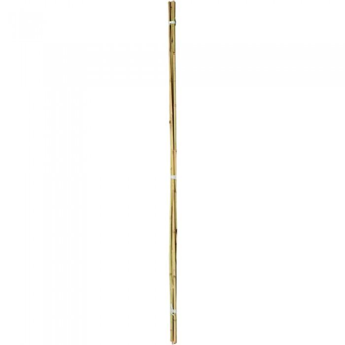 Ambassador Bamboo Plant Canes (Pack Of 20)