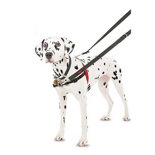 Halti Dog Harness