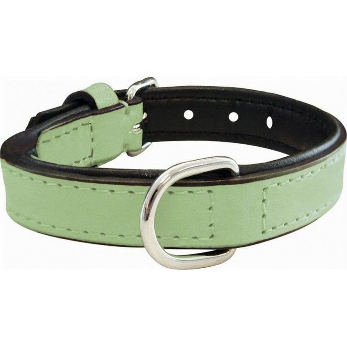 Dog Collar - NC - Gloria - Padded - Green - 55 X 2.5 Cm