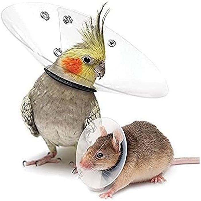 Collar - KVP - Saftshield - Lightweight - Double Padding - Stainless Steel