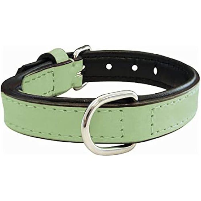 Padded Leather Collar - GLORIA - Model with Fur - Adjustable - Durable - For Medium Dogs