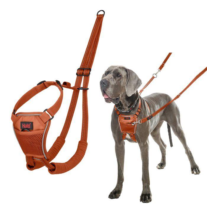 Anti-pull Harness for Dogs - Halti - Size L - Burnt Orange - Reflective - Padded Straps - Polyester