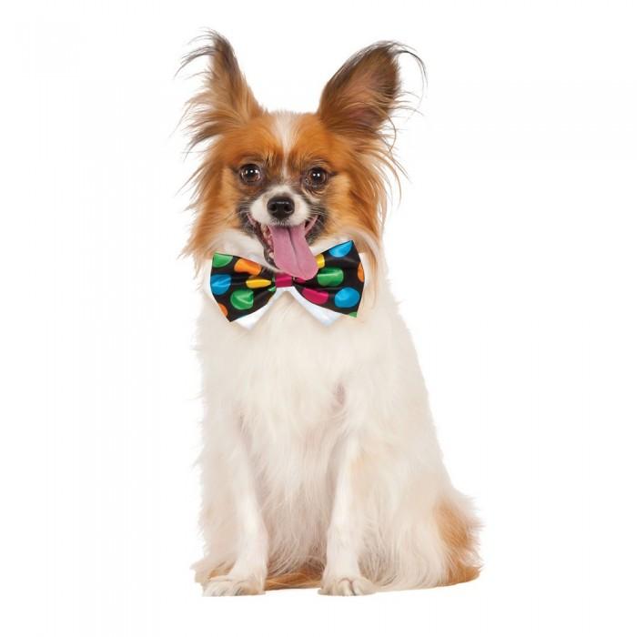 Bristol Novelty Polka Dot Halloween Bow Tie