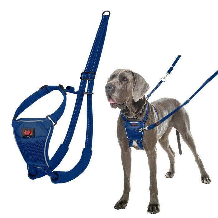 Anti-pull Dog Harness - Halti - Size L - Cobalt Blue - Reflective - Padded Straps - Polyester