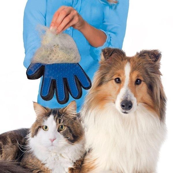 Glove for Massage and Hair Brushing for Dog and Cat Animal Care