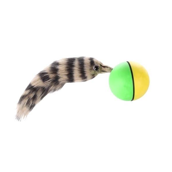 Ferret Ball In Motion Automaton Ball Game